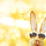 Rabbit wearing sunglasses